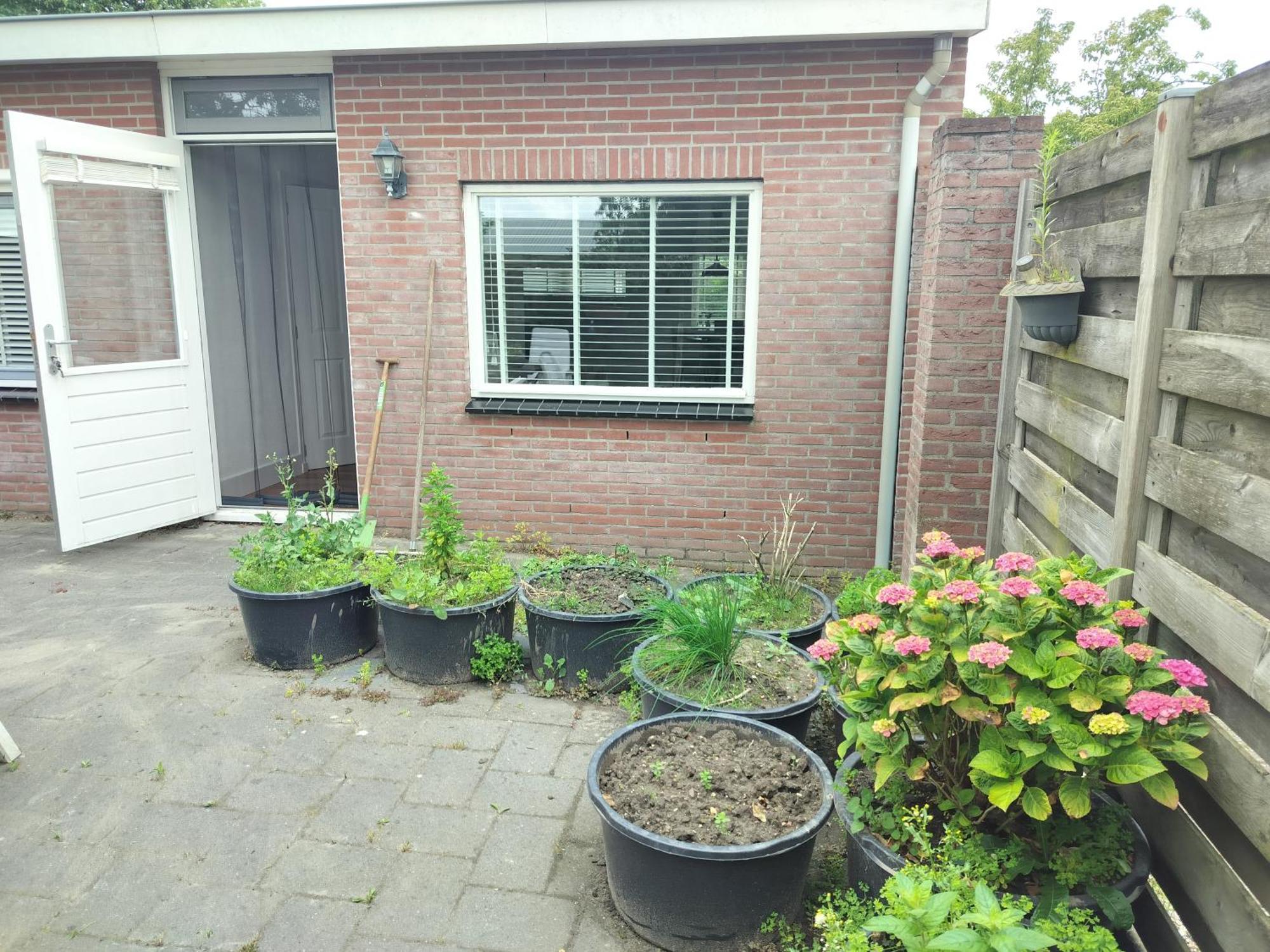 Solstice, Quiet Cottage In Bruinisse, Zeeland 外观 照片